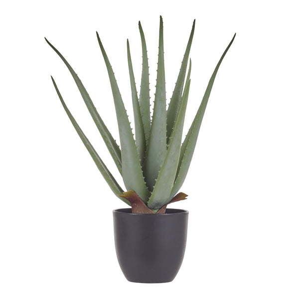 Artificial Aloe Plant - 50cm