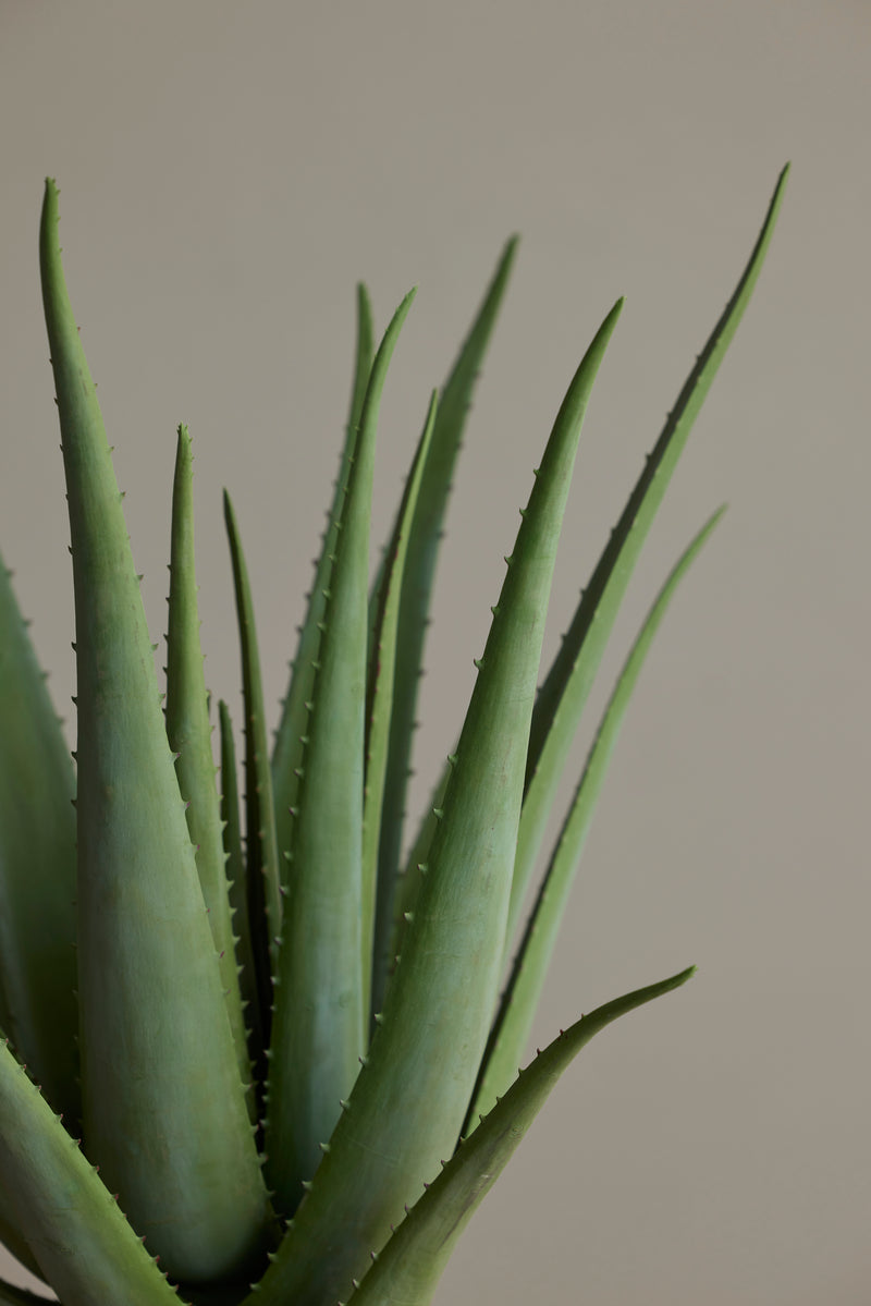 Artificial Aloe Plant - 66cm