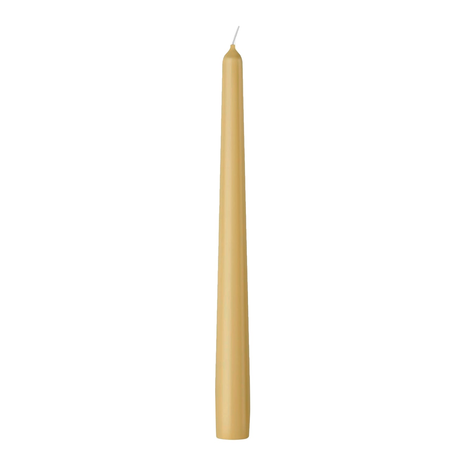 Bolsius Tapered Candle - Box 4 - 24.5cm - Beige