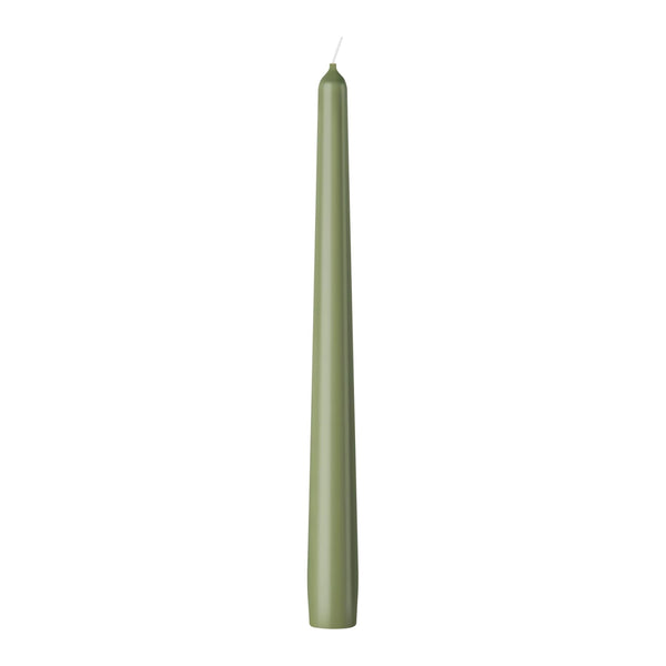 Bolsius Tapered Candle - Box 4 - 24.5cm - Olive Green