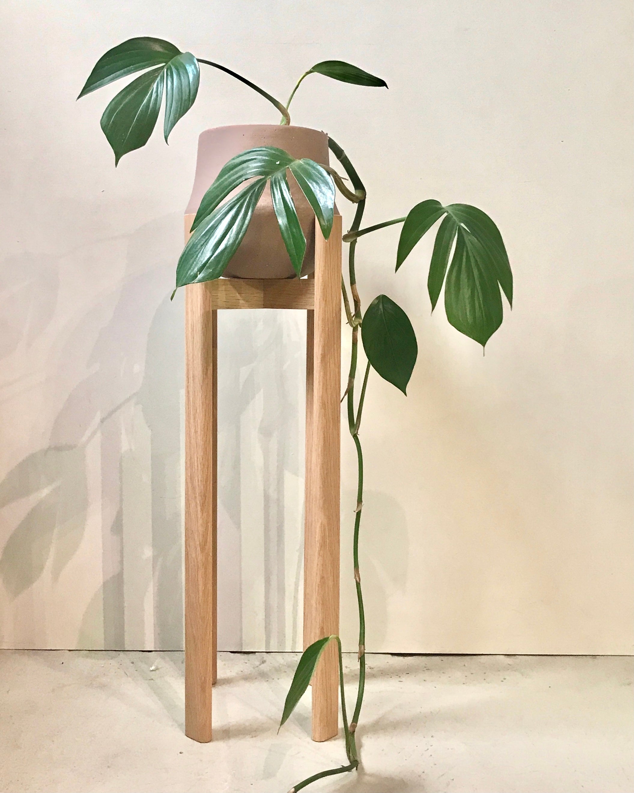 DUNCAN RODWELL - Stadium Plant Stand - Oak - Tall