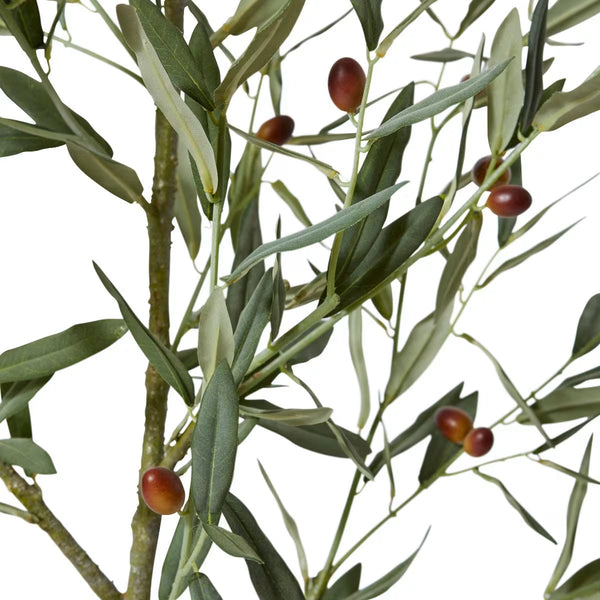 Ever Flora Faux Olive Tree - 170cm