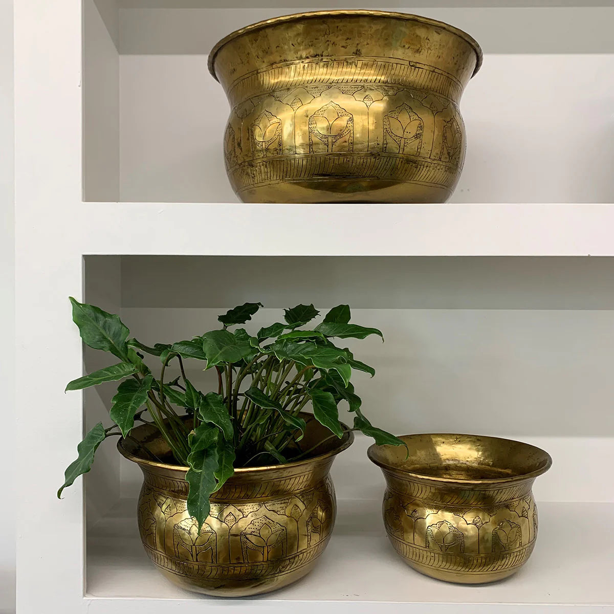 Timurid Planter Small  - Antique Brass Finish