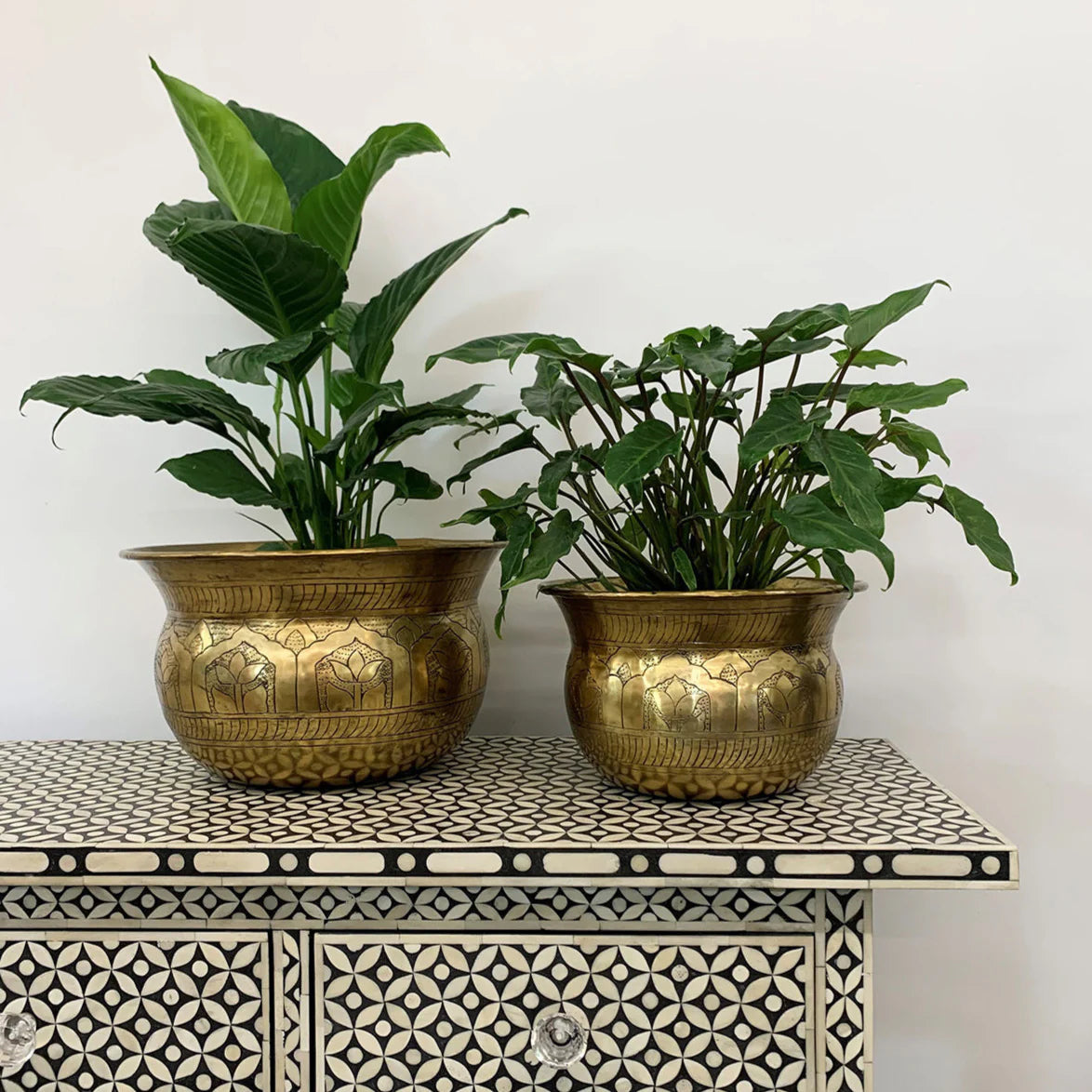 Timurid Planter Medium Antique Brass Finish