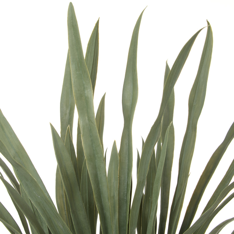 Faux Yucca Plant