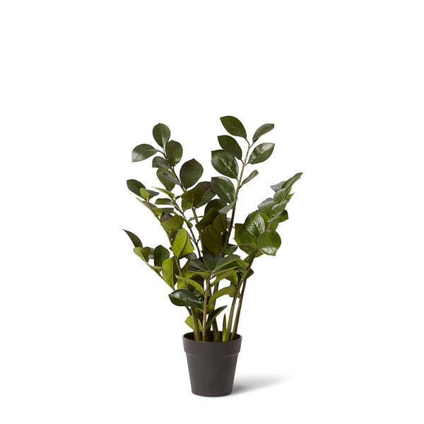 EverFlora Faux Zanzibar Gem Plant 40cm x 60cm